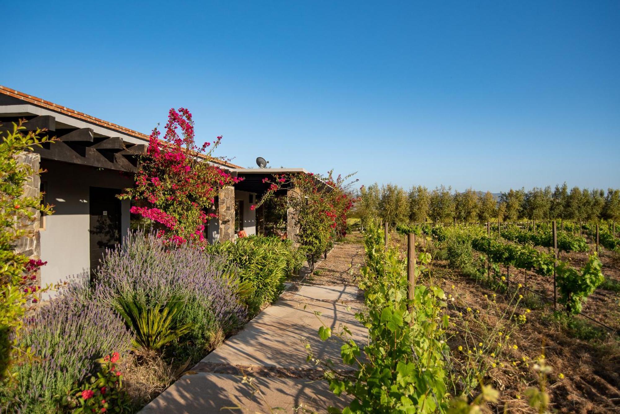 Atika Retreat Hotel Valle de Guadalupe Buitenkant foto